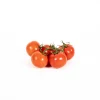 Top Fruit Market Top Fruit Market Truss