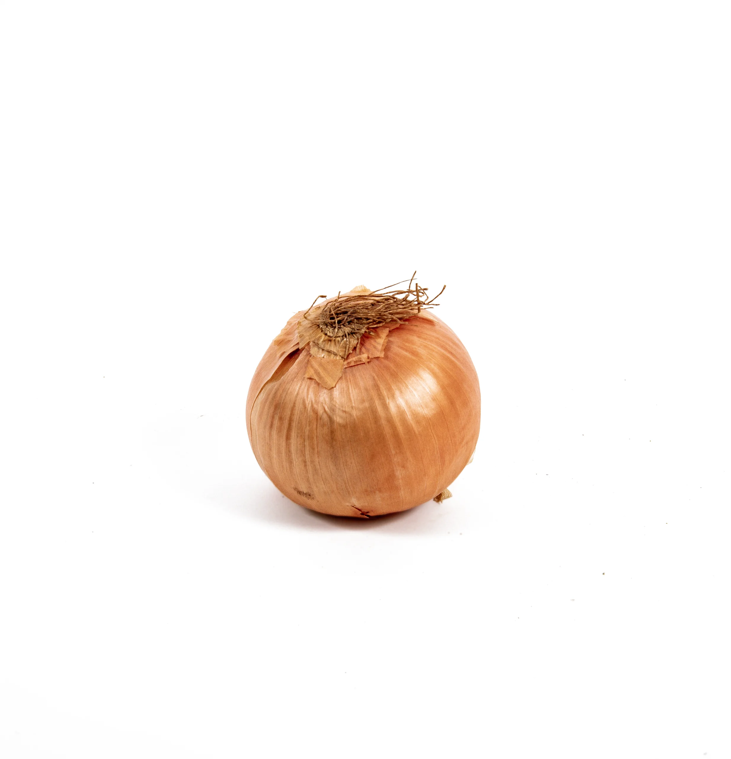 Top Fruit Market Top Fruit Market Brown Onion