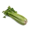 Top Fruit Market Top Fruit Market Celery