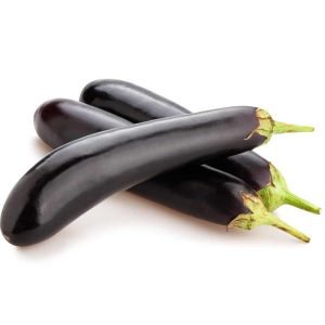 Long Eggplant