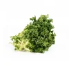 Top Fruit Market Top Fruit Market Endive