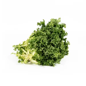 Top Fruit Market Top Fruit Market Endive