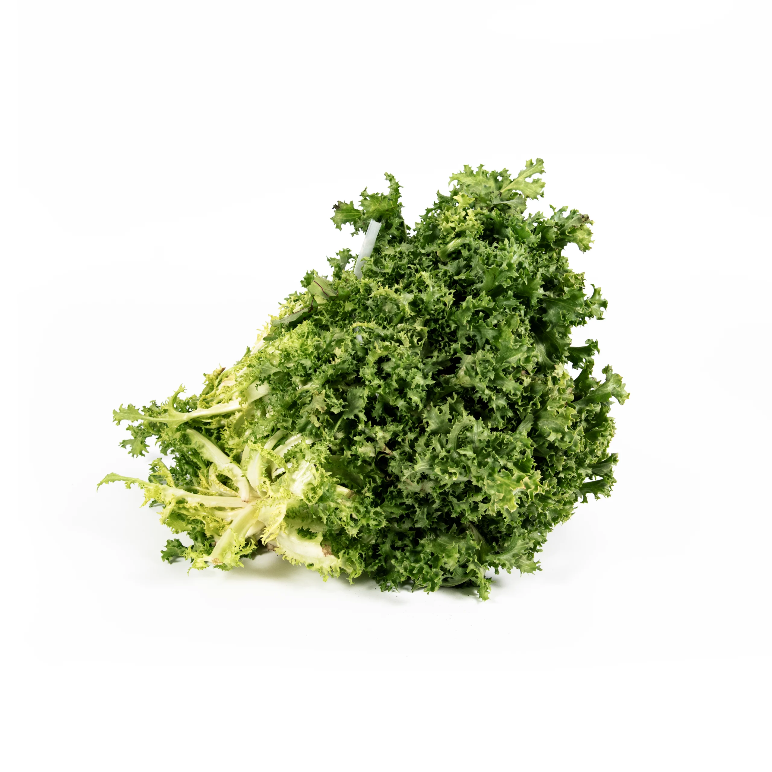 Top Fruit Market Top Fruit Market Endive
