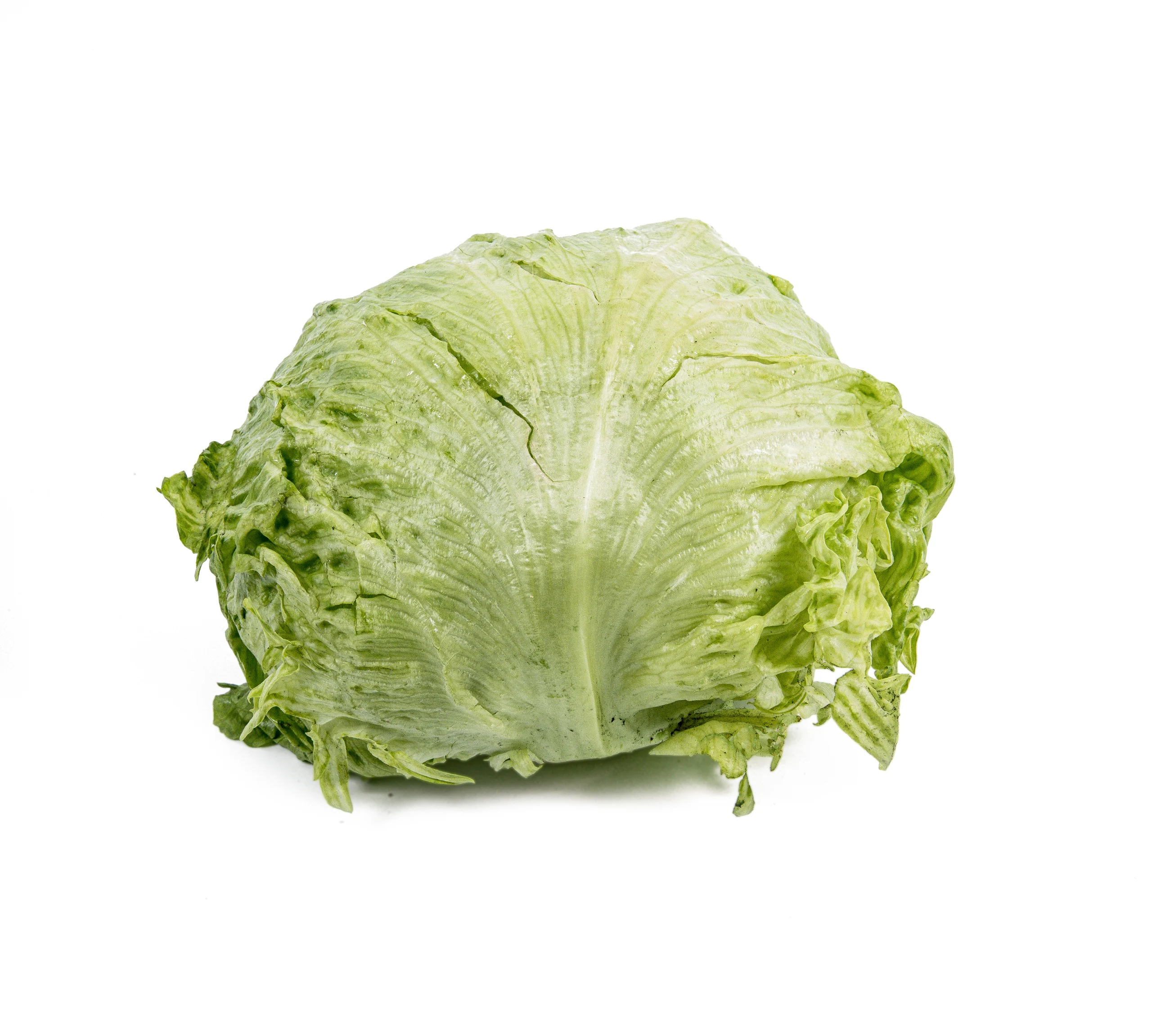 Top Fruit Market Top Fruit Market Iceberg Lettuce