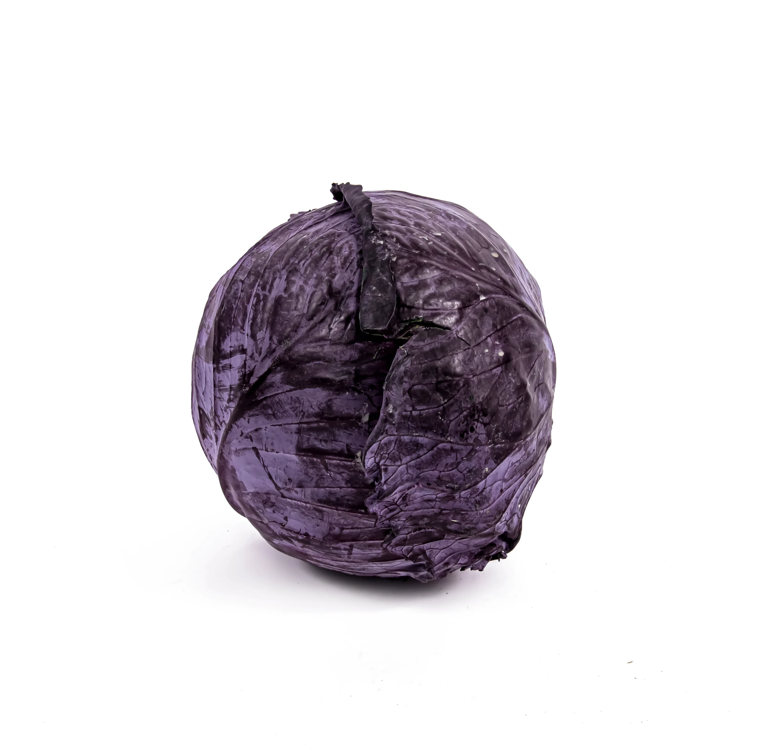 Top Fruit Market Top Fruit Market Purple Cabbage