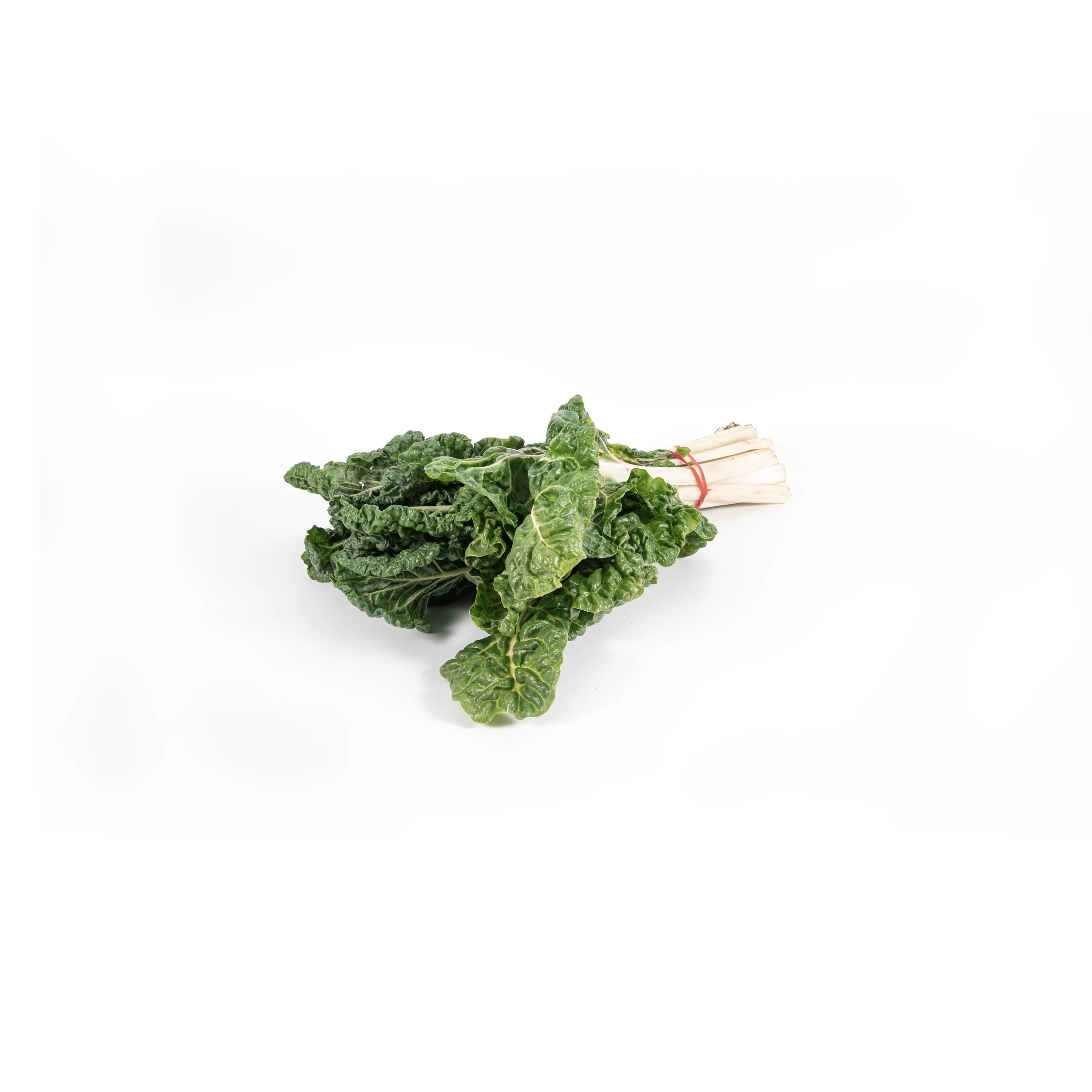 Top Fruit Market Top Fruit Market Silverbeet