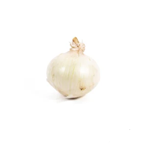 Top Fruit Market Top Fruit Market White Onion