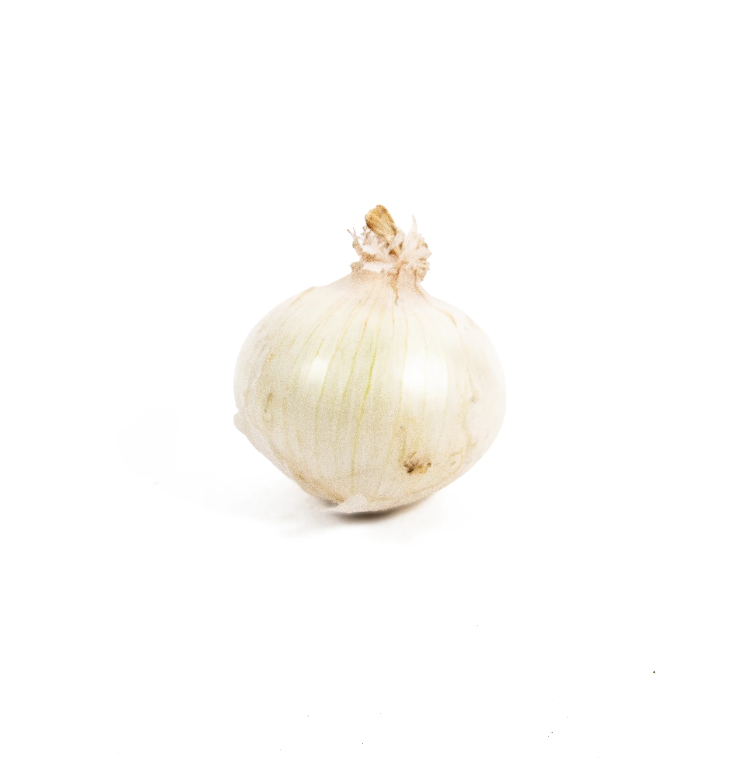 Top Fruit Market Top Fruit Market White Onion