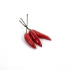 Top Fruit Market Top Fruit Market Bullet Chilli