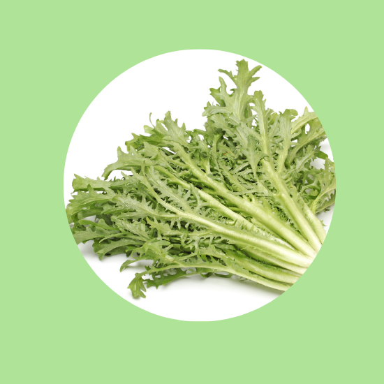 Endive Bunch 2 for $5.00