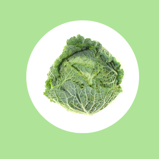 Savoy Cabbage EA