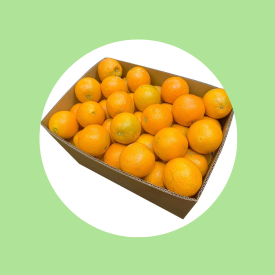 Juicy Large Orange 18 kg Box (Specials)