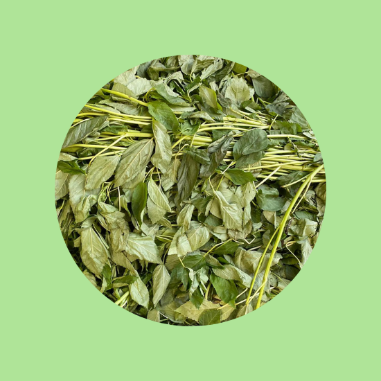 Molokhia Bunch