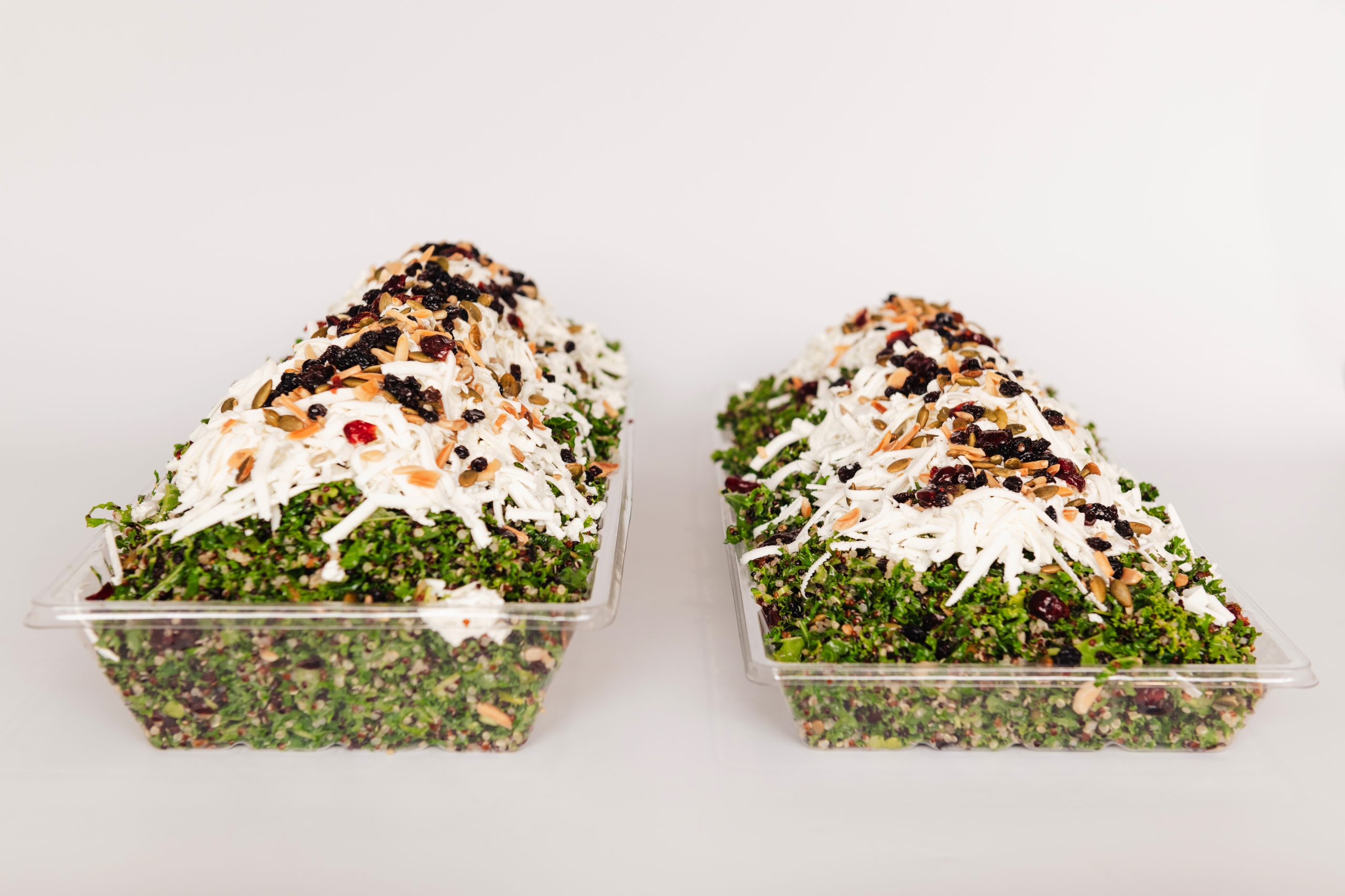 Quinoa & Kale Salad Tray - Image 2