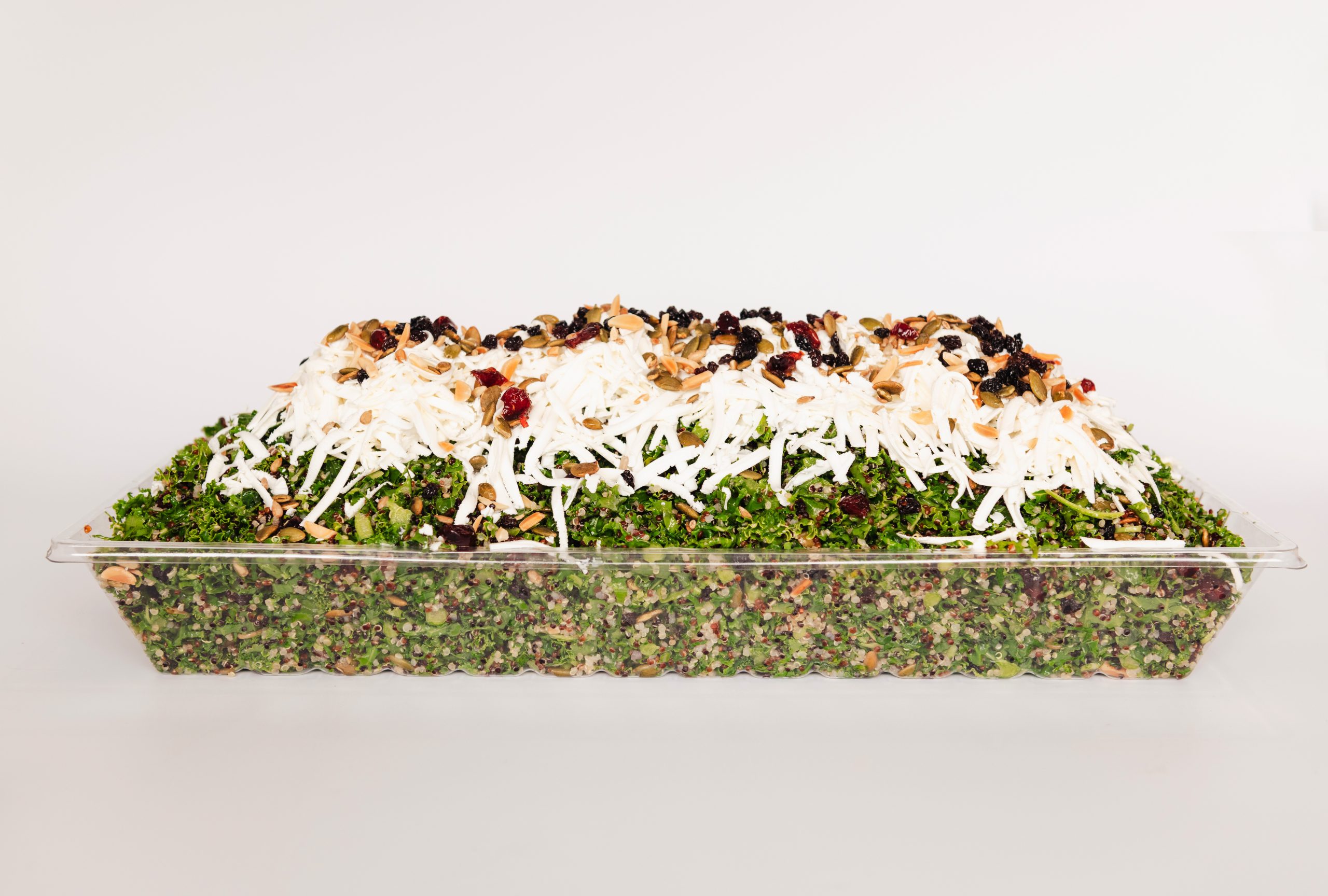 Quinoa & Kale Salad Tray - Image 4