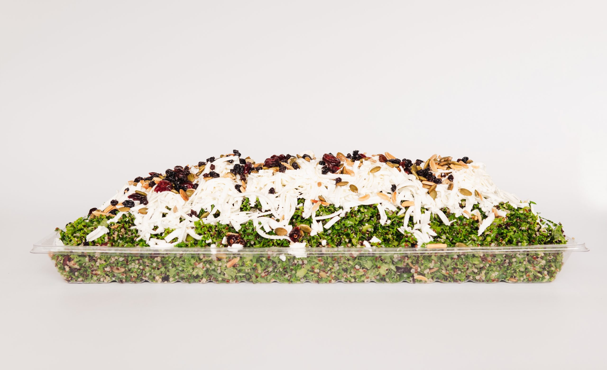 Quinoa & Kale Salad Tray - Image 3