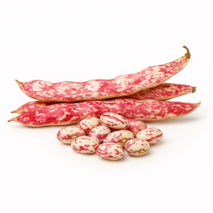 Borlotti Beans