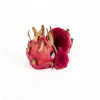 Top Fruit Market Top Fruit Market Red Dragonfruit