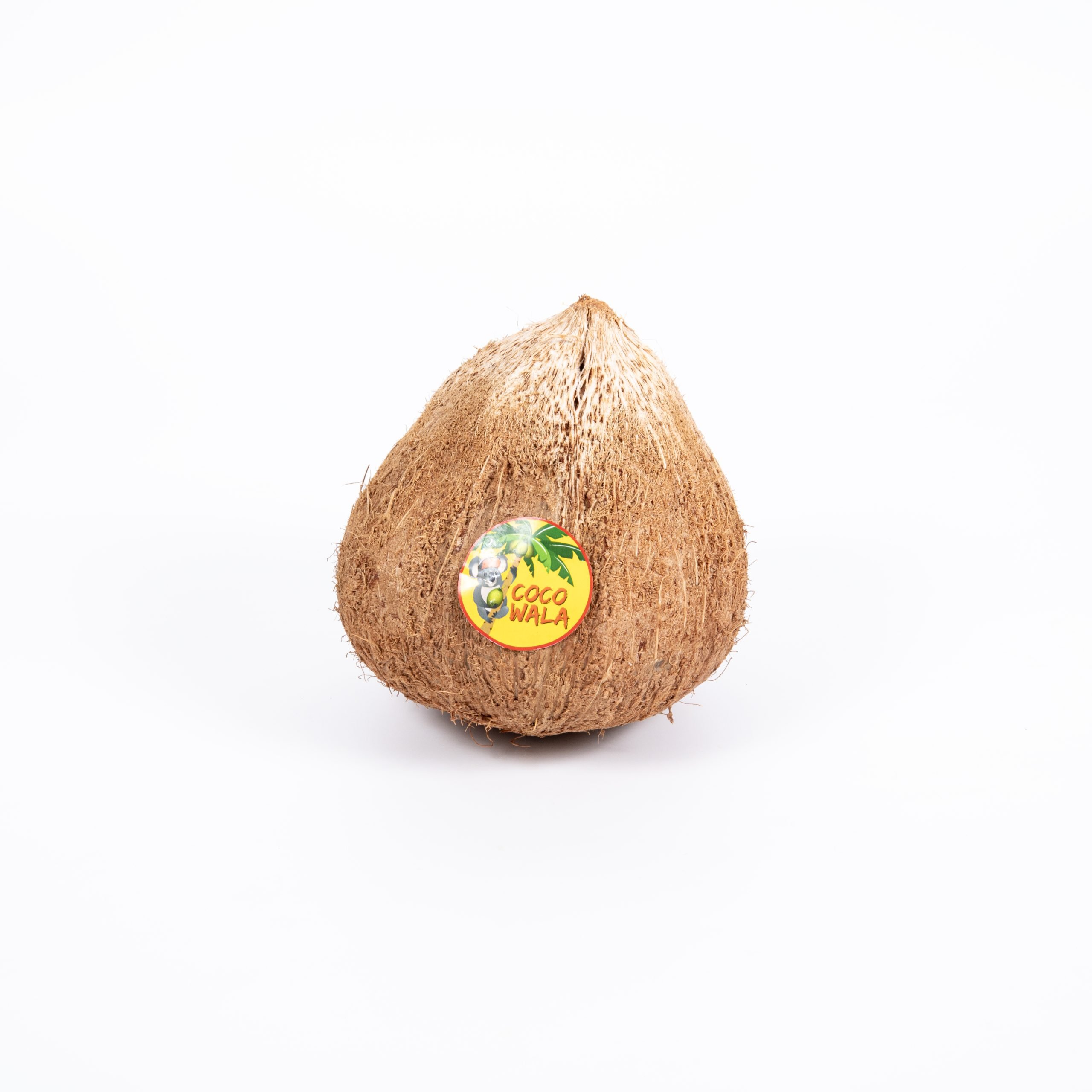 Top Fruit Market Top Fruit Market Coconut