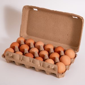 Top Fruit Market Top Fruit Market Eggpro Brown Open
