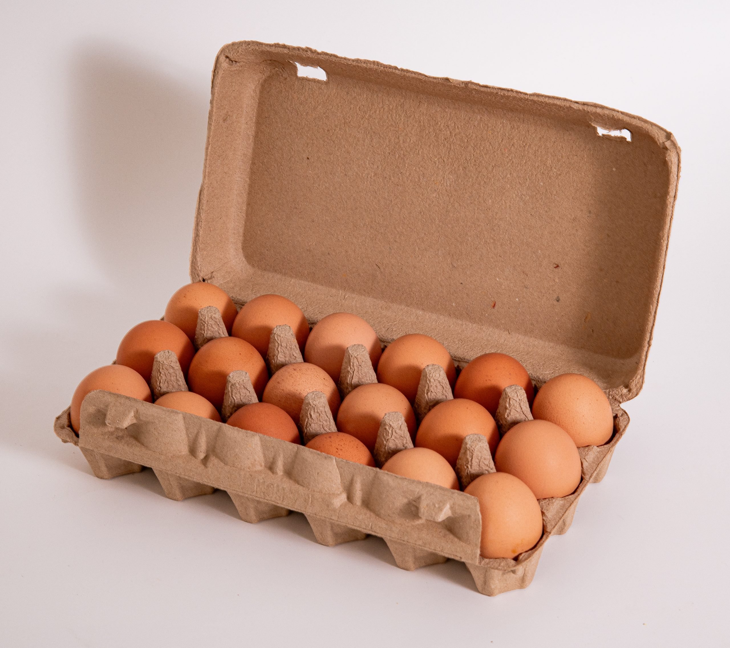 Top Fruit Market Top Fruit Market Eggpro Brown Open